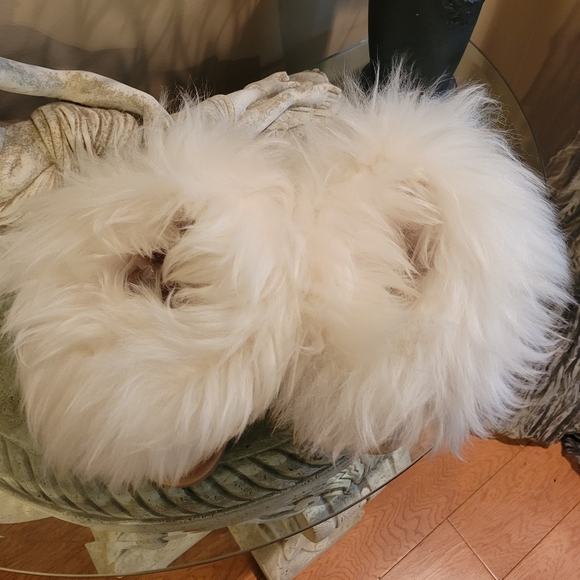 Australia Luxe Collective Tsar Short Tuscany 2822 - Picture 11 of 13